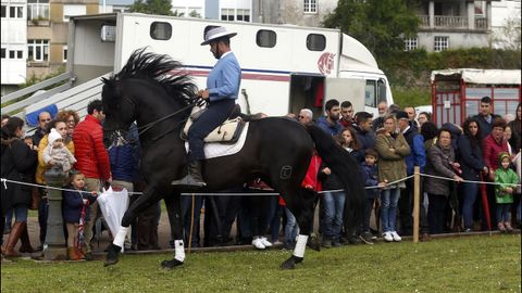 Feria caballar en las Fiestas de San Marcos 2019