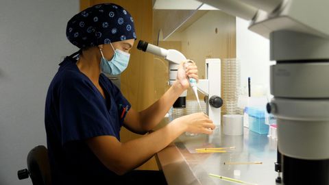 Proceso de vitrificaci�n de �vulos en una unidad de reproducci�n asistida gallega.