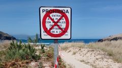 Cartel colocado en uno de los acceso al arenal de Esteiro