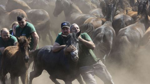 Los aloitadores se emplearon a fondo para dominar a las reses.