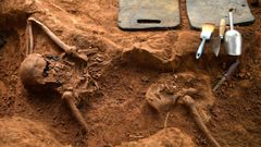 Restos seos hallados en la fosa comn en El Relln, en Grado, donde la ARMH ha retomado los trabajos de exhumacin
