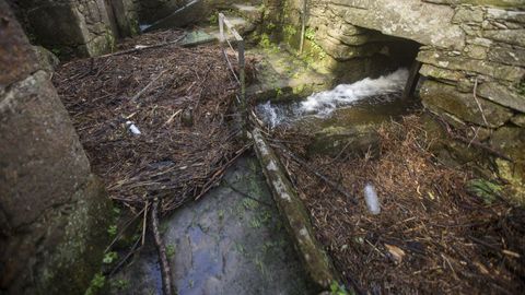 Bat�ns do Mosquet�n