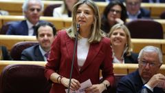 La portavoz del Grupo Parlamentario Popular en el Senado de Espa�a, Alicia Garc�a