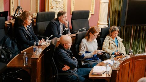 En el grupo popular hubo dos ausencias, la de su portavoz Sonia Ogando y la del concejal Miguel ngel Michinel.