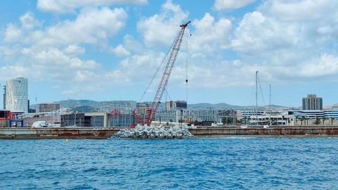 Colocacin de las piezas Xbloc que se ensayaron en el Citeec