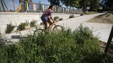 La maleza es un problema en Vilagarc�a
