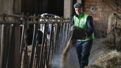 La empresaria de Guitiriz Julia Vidal, en una de las granjas en las que presta servicios su empresa