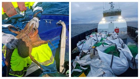 Las operaciones contra el furtivismo de Gardacostas de Galicia permitieron el decomiso de especies como pulpo