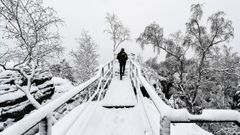 El �lbum del d�a