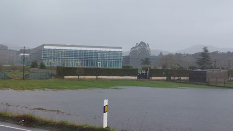 Imagen de Lamas, en Padr�n, con uno de los edificios del campus tecnol�gico de Cortizo al fondo