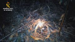 Hallan un artefacto incendiario en un monte de Negreira