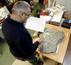 Herv�s limpi� la pieza en su estudio tras la aparici�n. 