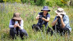 Participantes en la s�ptima edici�n del Bioblitz do Courel, celebrada el pasado fin de semana