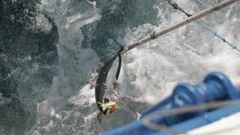 Aunque los primeros bonitos se vendan en Avil�s, la lonja de Burela es referente en la costera de ese pescado azul de temporada