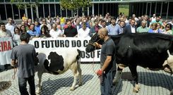 Trabajadores del Concello se unieron a los representantes pol�ticos, sindicales y a los ganaderos en la concentraci�n celebrada en Lal�n. 