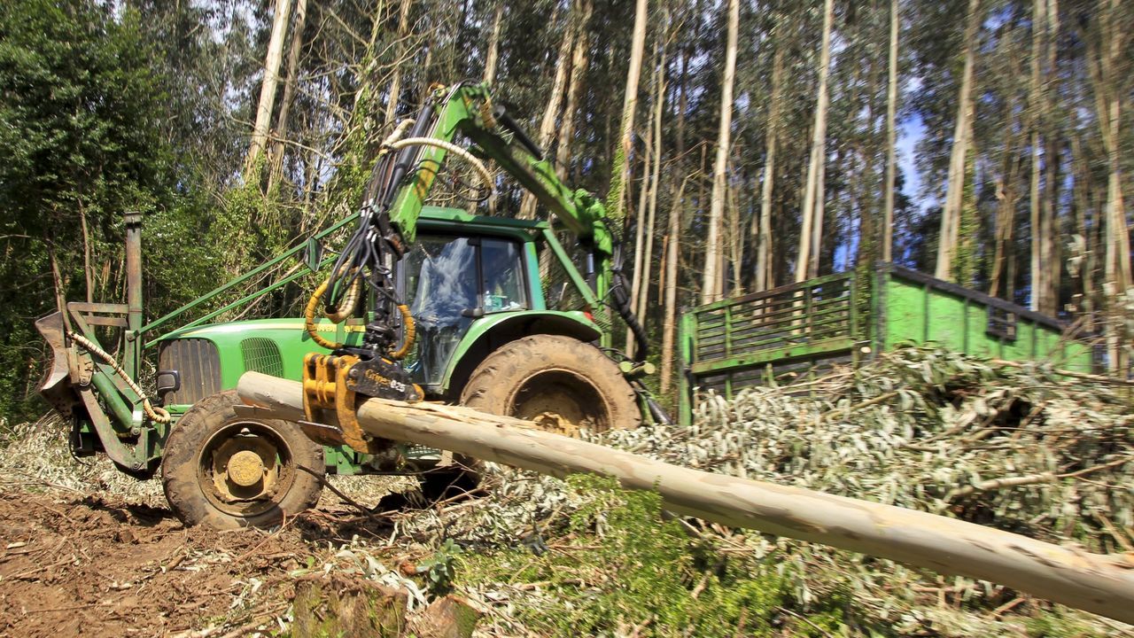 Ence formó en el 2025 a cerca de 30 maquinistas forestales y asesoró a cerca de 1.000 propietarios en Galicia, Asturias y Cantabria