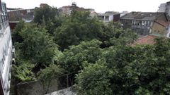 Traseras de viviendas de las calles In�s de Castro (izquierda) y Cardenal (derecha) colindantes con los terrenos