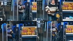 El regreso furioso del ladr�n