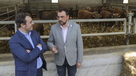 El presidente del Principado de Asturias, Adri�n Barb�n (d), y el presidente de Alimerka, Alejandro Fern�ndez (i), durante su visita al cebadero de la ganader�a Finca Casona La Lloraza en Oles, concejo de Villaviciosa