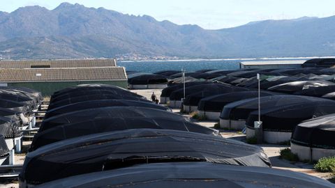 Tanques con los montes de Carnota al fondo