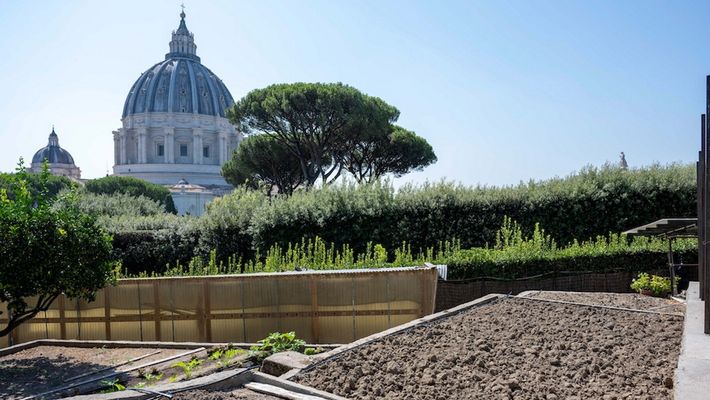 Imagen del&nbsp;huerto de los jardines vaticanos