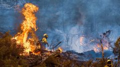 Efectivos del Infoca luchan contra el fuego en Los Gu�jares.
