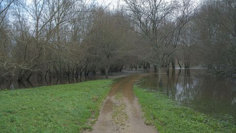 Los efectos de las inundaciones del 1 de enero an son visibles 