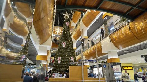 El rbol de Navidad vuelve a lucir en el centro de la planta