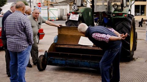 Meira reivindic� los trabajos acestrales del campo en una nueva edici�n de la Festa da Malla.