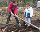 Las comunidades de Combarro y Samieira organizaron este s�bado una plantaci�n de especies aut�ctonas por el D�a del �rbol.