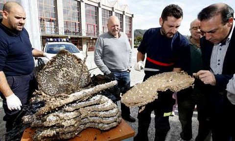 La alarma comenz en la comarca tras localizar en Xove, en octubre, un nido gigante. 