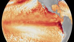 Imagen de sat�lite donde se aprecia el aumento de las temperaturas en el oc�ano Pac�fico.