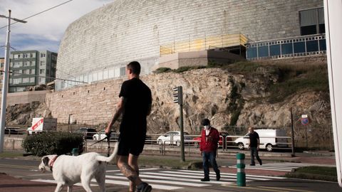 Arreglos en la fachada de la Domus
