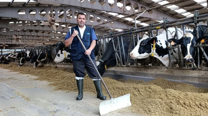 Jos� Manuel Fern�ndez tiene una explotaci�n de m�s de 1.100 vacas en Mazaricos, de las que m�s de la mitad est�n en producci�n. 