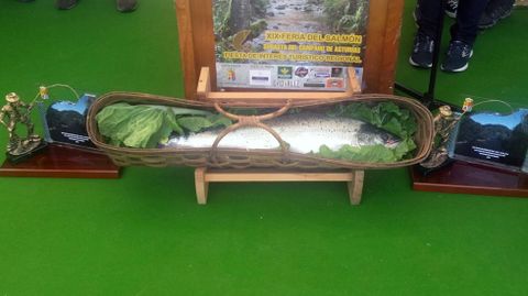 El �campanu� 2017 preparado para la subasta de Cornellana.El �campanu� 2017 preparado para la subasta de Cornellana