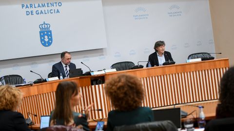 Jos� Ram�n Lete Lasa, durante su intervenci�n en el Parlamento.