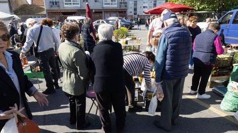 Desplazarse a una feria, por ejemplo, es inviable para muchos mayores si no tienen un vecino que los lleve y traiga
