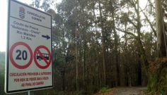 Carteles de prohibido el paso a los autobuses. 