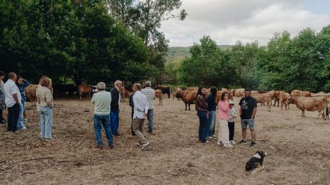 Visita a la explotaci�n de Calvelo, en Mu��os
