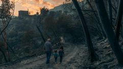 Las fotosdel terreno quemado por el fuego en Panton ySober
