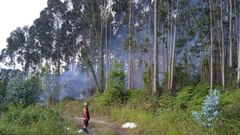 Incendio en Monte Areo, en julio de 2022