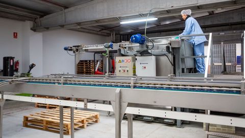 Visita a la conservera Orbe en el pol�gono de A Reigosa en Pontecaldelas.