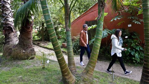 En el jard�n bot�nico Fundaci�n Sales hay una colecci�n de palmeras, entre otras interesantes especies.