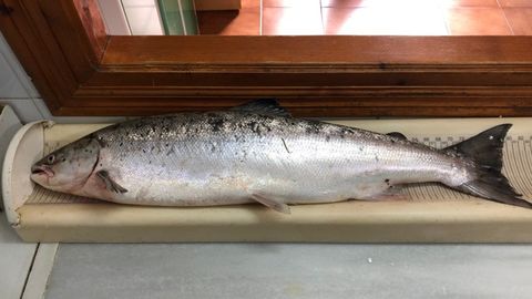 El �campanu� del Sella 2019, en el precinto del Portazgo