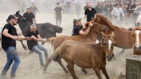 La Rapa das Bestas da Capelada, en su pasada edici�n.