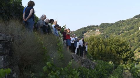 Los suscriptores de A Maria reciben explicaciones en las vias de la bodega