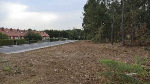 Imagen de archivo de una finca desbrozada en el concello de Teo