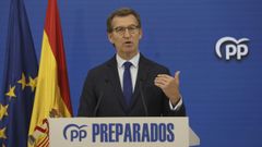 Alberto N��ez Feijoo durante una rueda de prensa.