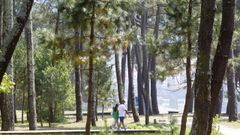 Una de las subvenciones m�s cuantiosas se ha destinado al pinar de A Magdalena