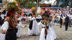 Darbo vuelve a brillar